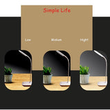 LED Desk Lamp With Flexible Gooseneck