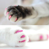 Cat Nail Caps(20 pcs)