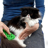 Massage pet brush