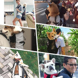 Outdoor Portable Pet Backpack