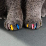 Cat Nail Caps(20 pcs)