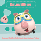 Cartoon Radio Controlled Fly Pig Toy
