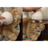 Pet Massager